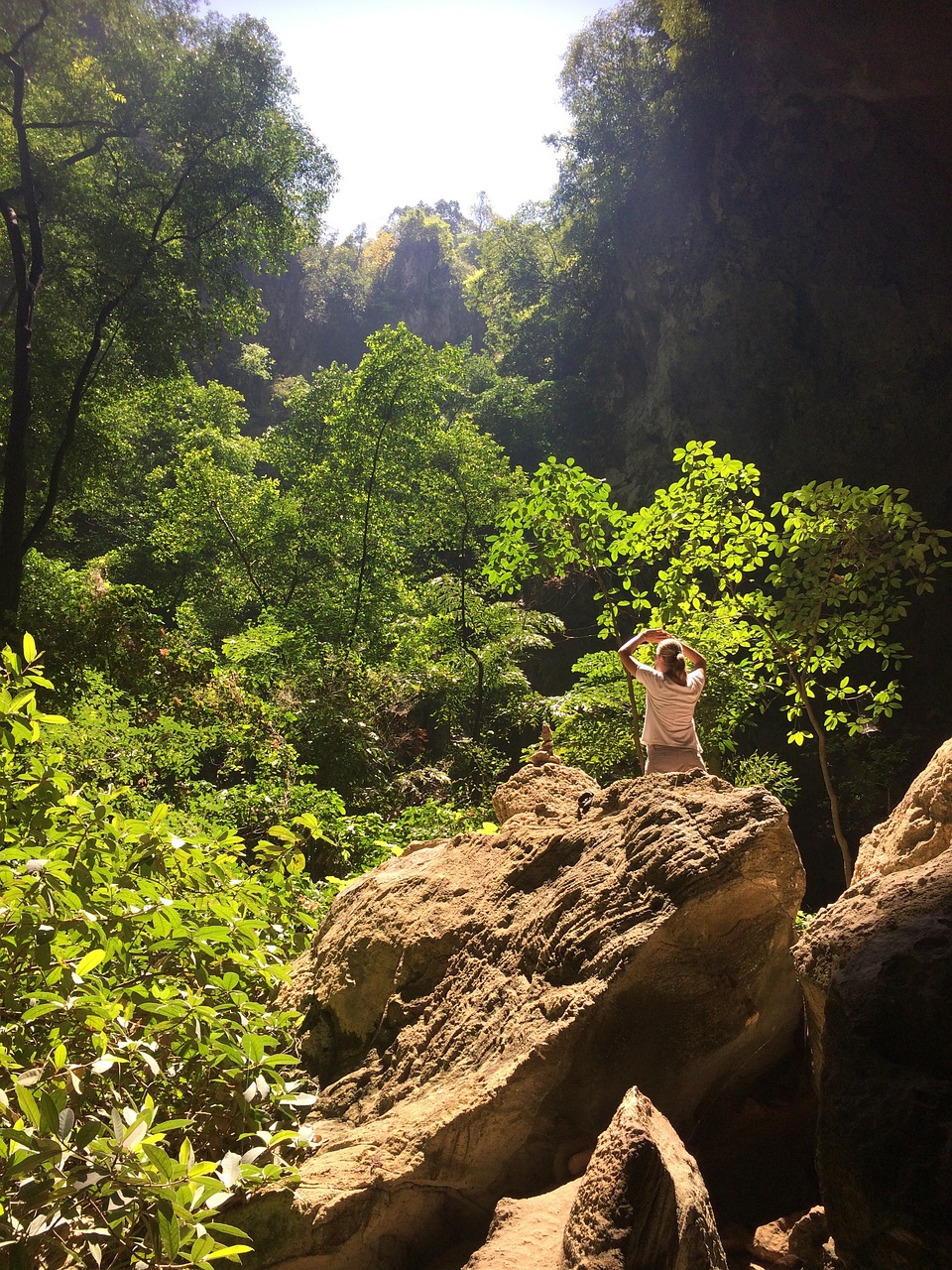 王珍最新动态，探索未知领域与自我超越的旅程