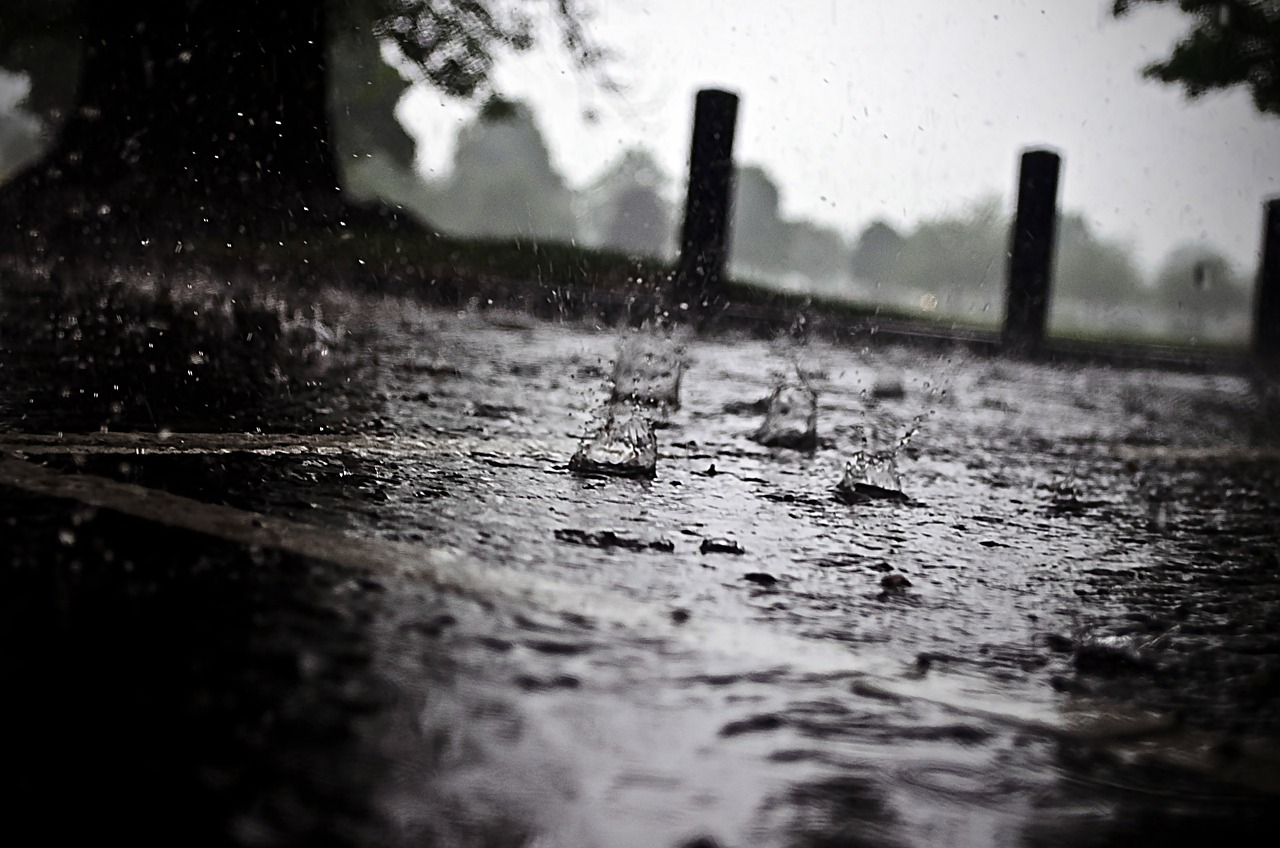 洪水肆虐暴雨来袭，如何应对自然灾害的挑战？