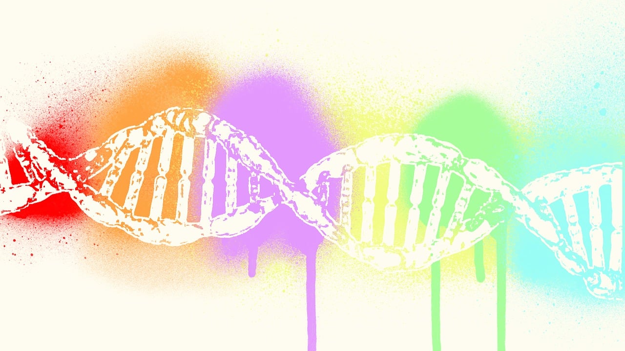 最新基因图谱揭示生命奥秘与未来希望，探索生命科学的崭新篇章